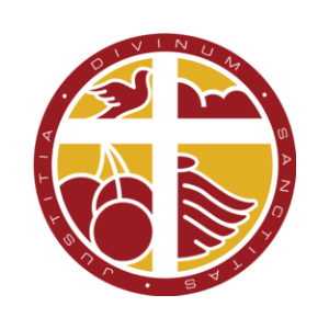Логотип BiblePay