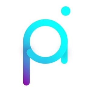 Логотип Project Pai