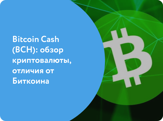Bitcoin Cash (BCH) — обзор криптовалюты, отличия от Биткоина