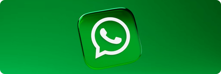 Инструкция по использованию бизнес-аккаунта в WhatsApp
